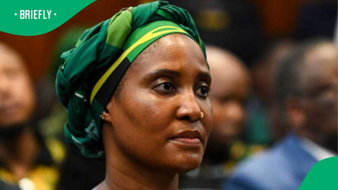 A picture of Dudu Zuma A picture of Dudu Zuma