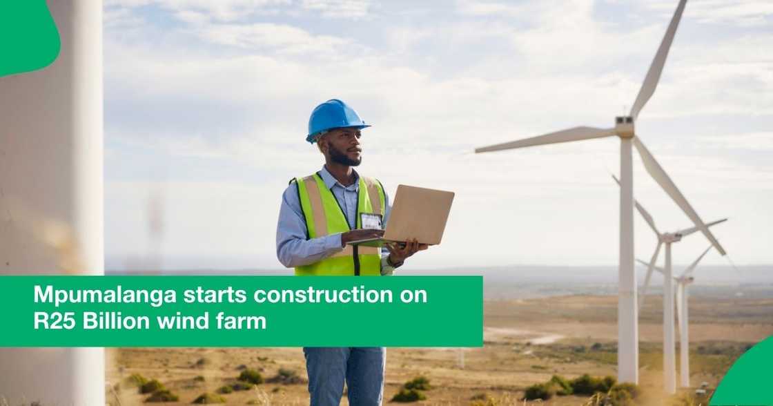 Engineer with laptop on a wind farm.