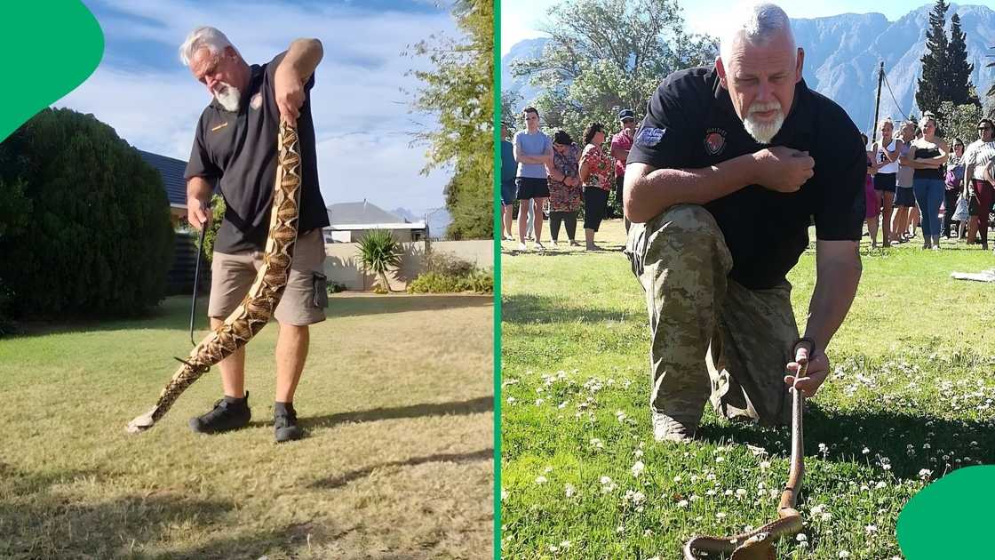 He is known for his work with Silverfox Snake Rescues, where he was considered a hero by many He is known for his work with Silverfox Snake Rescues, where he was considered a hero by many