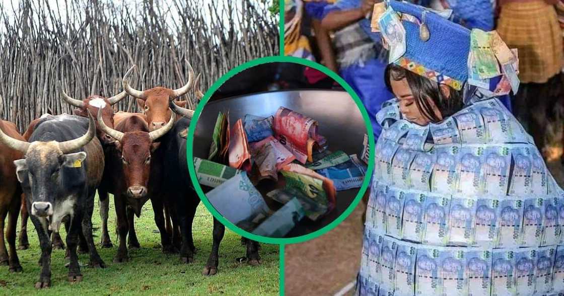 South African ladies disclose how much lobola should be paid for them. South African ladies disclose how much lobola should be paid for them.