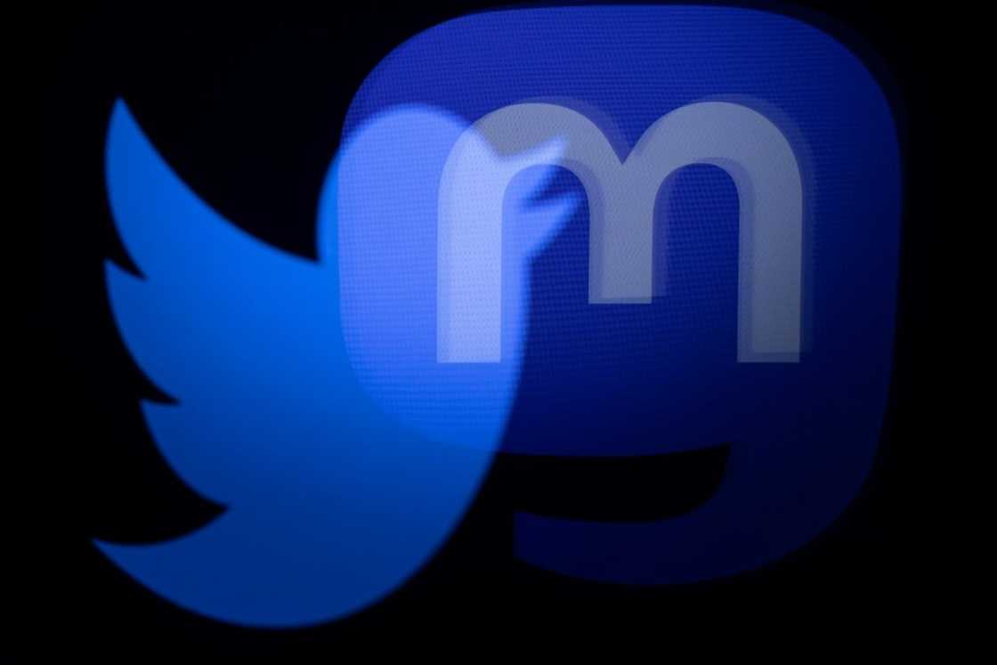 Musk's overhaul of Twitter has been the subject of heavy criticism Musk's overhaul of Twitter has been the subject of heavy criticism