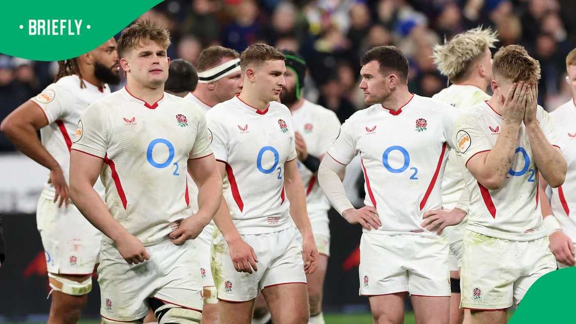 England, South Africa, Springboks, Six Nations