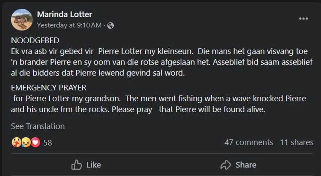 Man and three pet dogs missing at Bloubergstrand Man and three pet dogs missing at Bloubergstrand