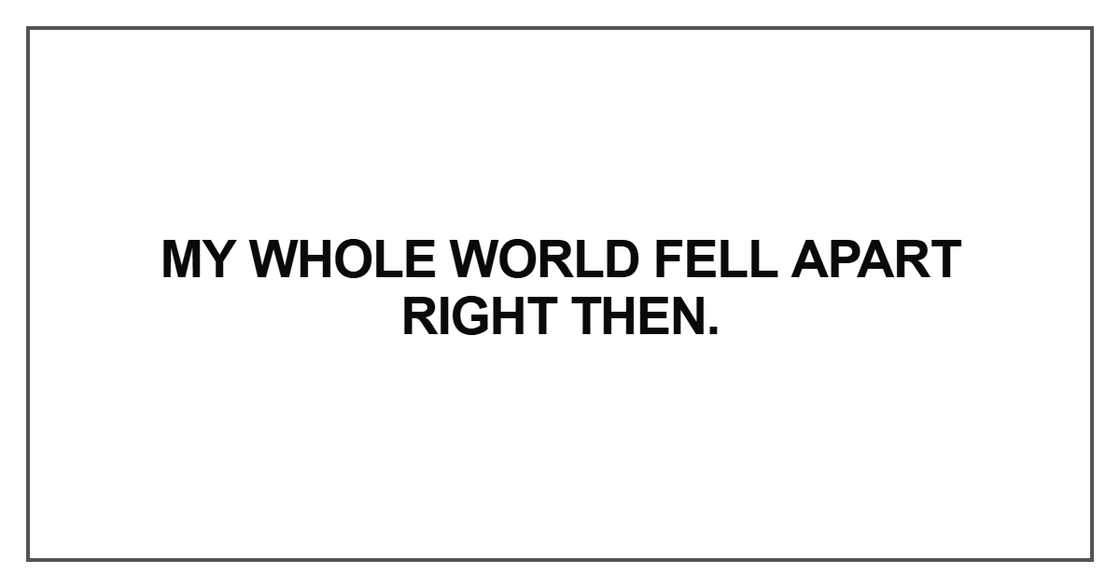 My whole world fell apart right then