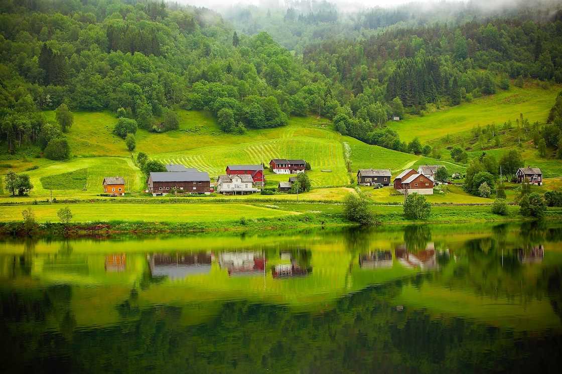 Multiple houses on a lush green piece of land