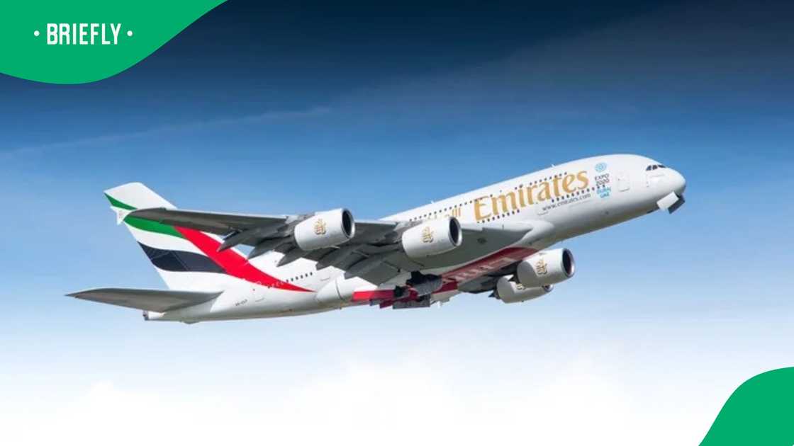 Emirates is set to recruit new cabin crew