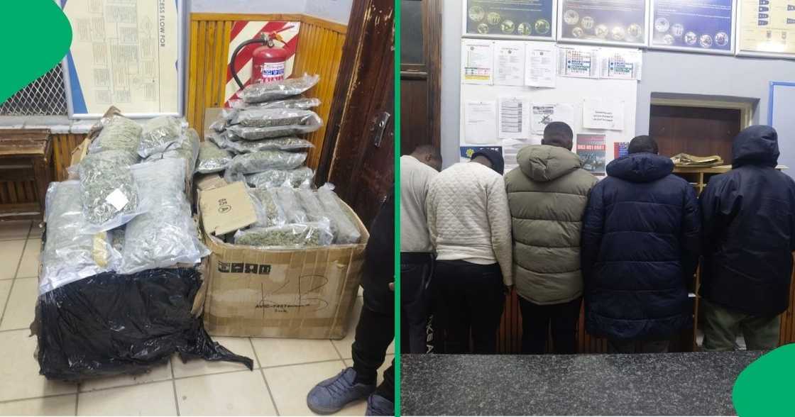 Four men were arrested in Bloemfontein after police caught them with dagga worth R1 million Four men were arrested in Bloemfontein after police caught them with dagga worth R1 million