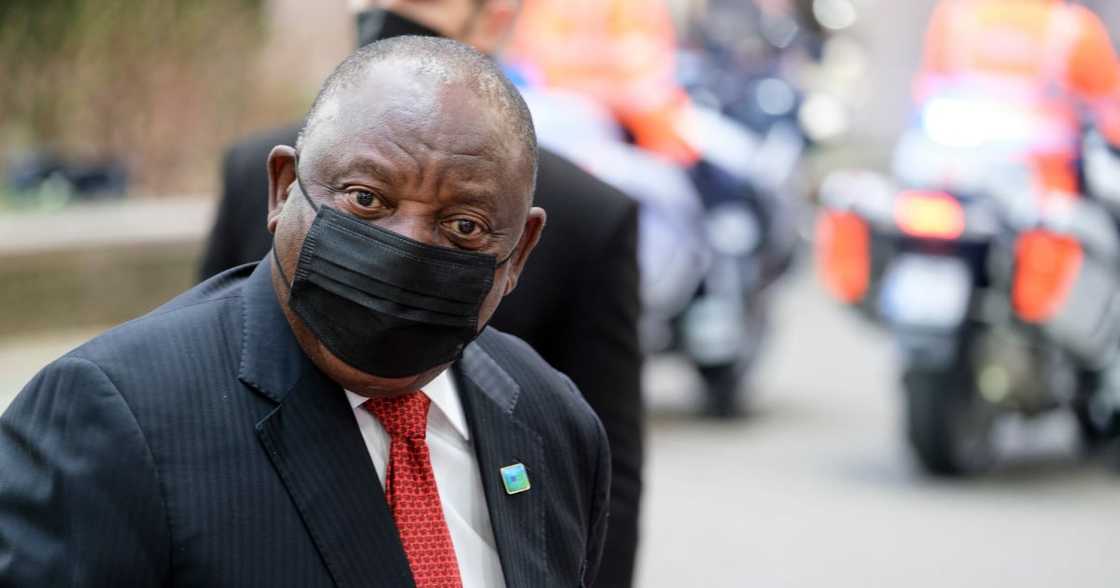 Cyril Ramaphosa, Patrice Motsepe Settle on R2.1m for President's Ankole Cow at Auction, SA Slams Dealings Cyril Ramaphosa, Patrice Motsepe Settle on R2.1m for President's Ankole Cow at Auction, SA Slams Dealings