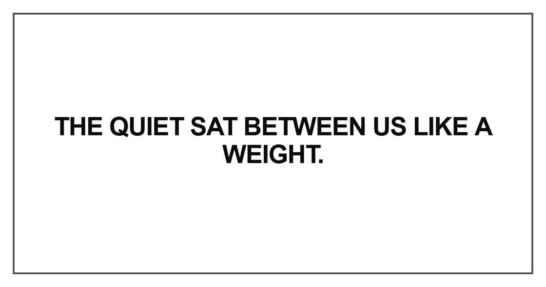 The quiet sat between us like a weight