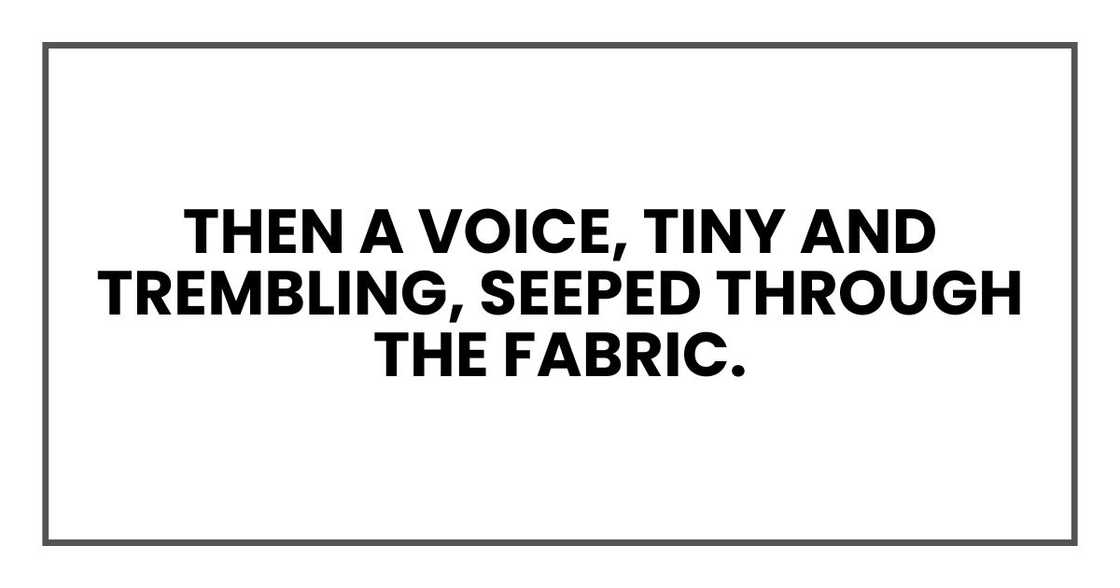 Then a voice, tiny and trembling, seeped through the fabric.