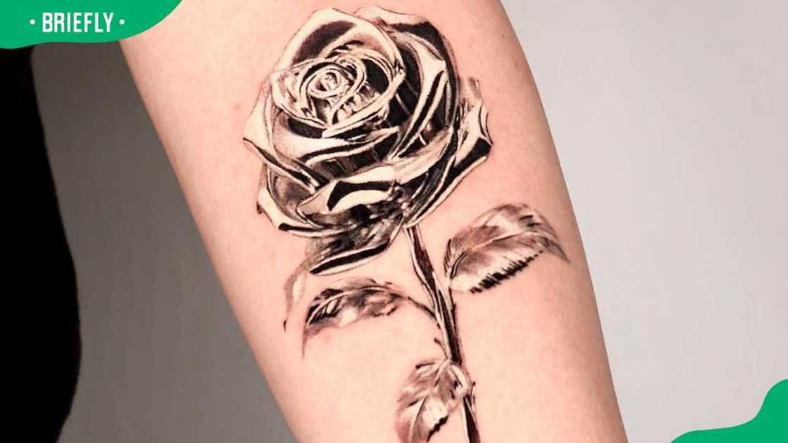 Chrome rose tattoo Chrome rose tattoo