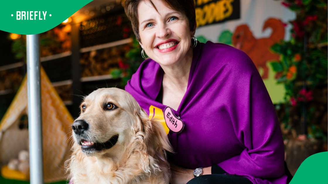 Therapy support dog supports child in court