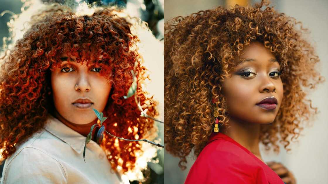 Curly brown afro wigs Curly brown afro wigs