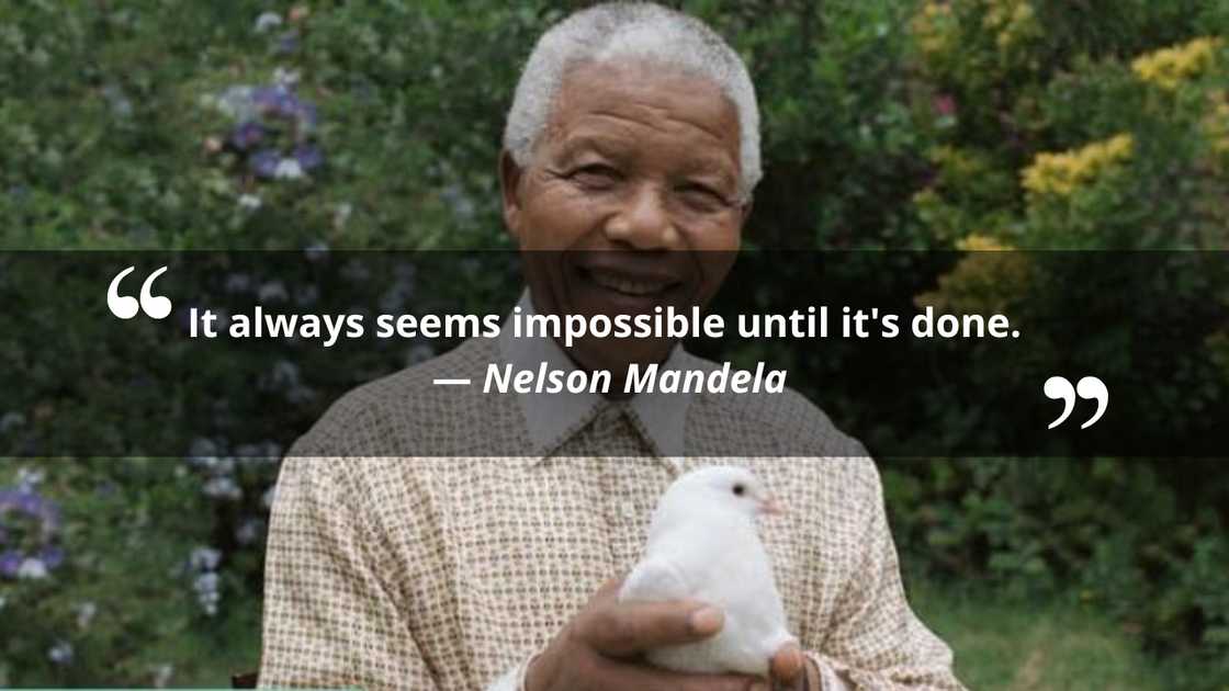 Nelson Mandela's quote on determination Nelson Mandela's quote on determination