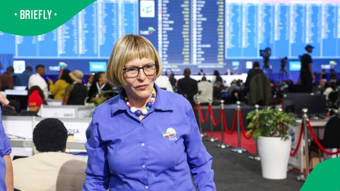 The Democratic Alliance's Helen Zille said the GNU would crumble without the DA The Democratic Alliance's Helen Zille said the GNU would crumble without the DA