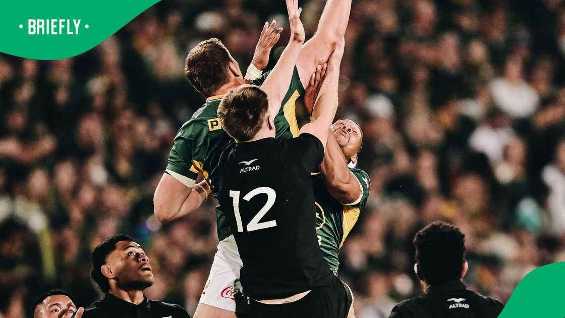 Springboks, South Africa, All Blacks, New Zealand, Greatest Rivalry Rugby Series