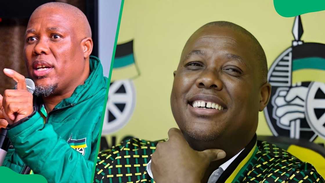 South African politician Bheki Mtolo South African politician Bheki Mtolo