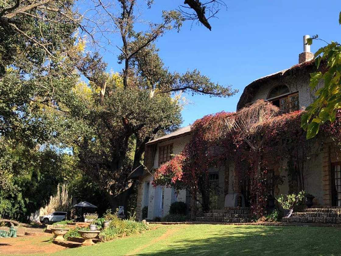 15 fabulous wedding venues in Magaliesburg