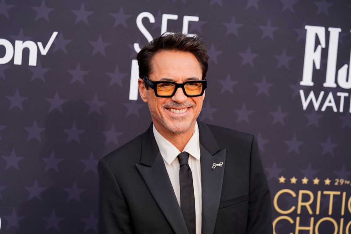 Robert Downey Jr. in Santa Monica, California.