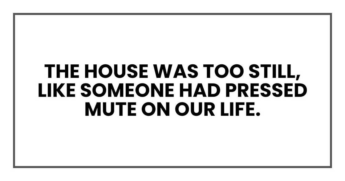 The house was too still, like someone had pressed mute on our life.