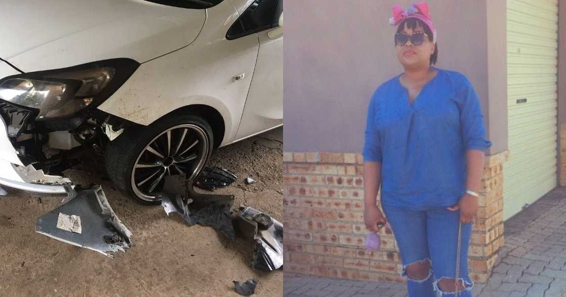 Dog eats car, lady shares post, Mzansi reacts Dog eats car, lady shares post, Mzansi reacts