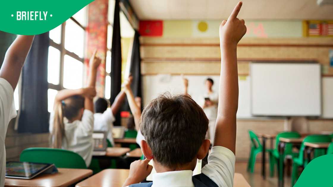 The Department of Basic Education is looking into allegations of selectivism in Western Cape schools' allocating space The Department of Basic Education is looking into allegations of selectivism in Western Cape schools' allocating space
