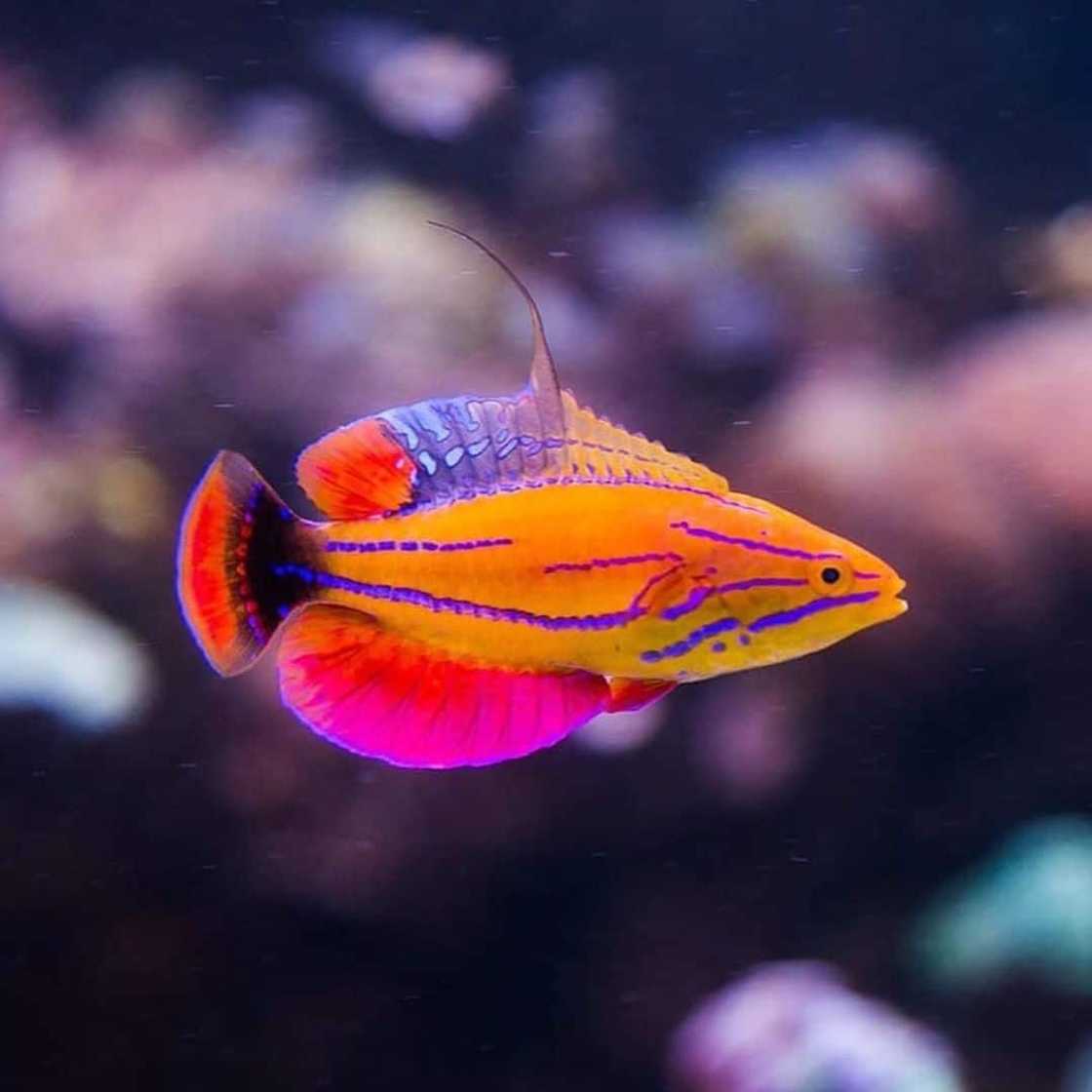 Two Oceans Aquarium Two Oceans Aquarium