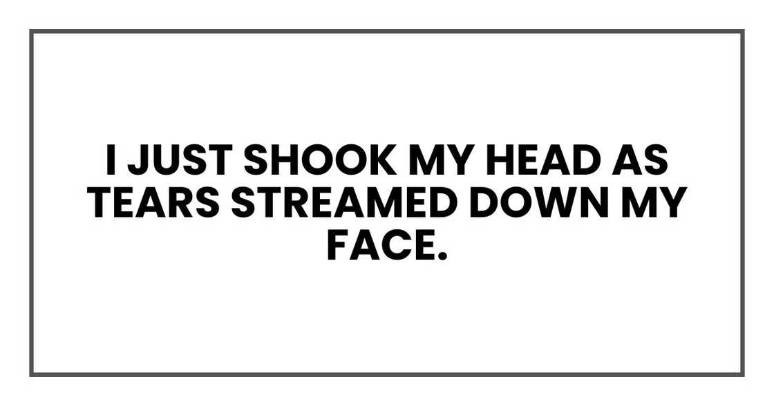 I just shook my head as tears streamed down my face. I just shook my head as tears streamed down my face.