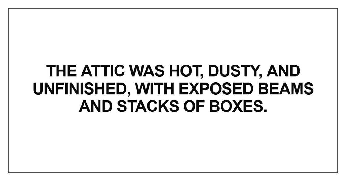 The attic was hot, dusty