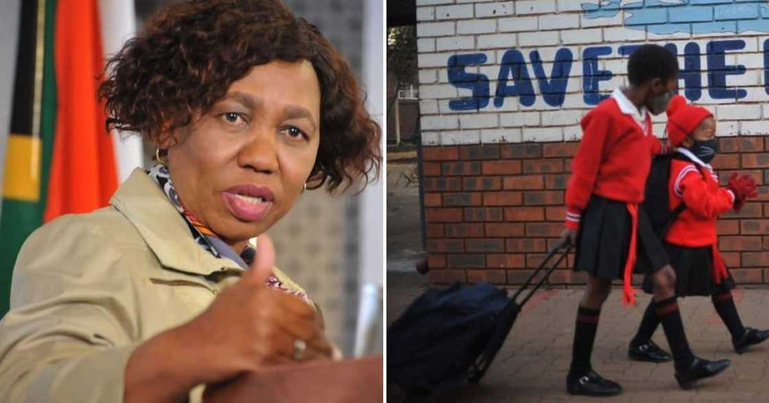 Minister Angie Motshekga calls for calm amid primary school placement backlogs Minister Angie Motshekga calls for calm amid primary school placement backlogs