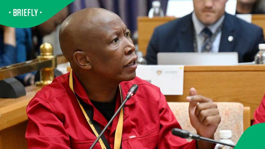 Julius Malema criticised Donald Trump in the build-up to the G20 Summitt Julius Malema criticised Donald Trump in the build-up to the G20 Summitt
