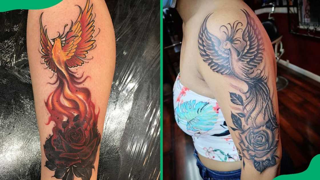 Phoenix rose tattoos Phoenix rose tattoos