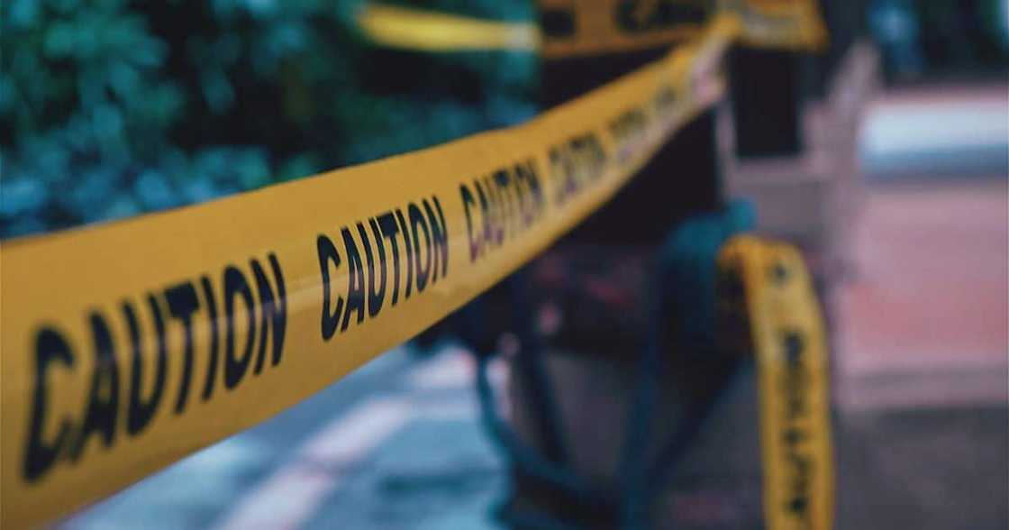 Siblings, murder father, killed, family dog, Eastern Cape province, police Siblings, murder father, killed, family dog, Eastern Cape province, police