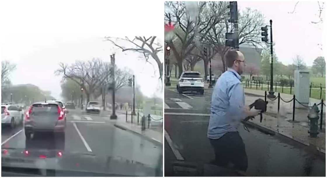 Nice video captures man giving an umbrella to the stranger sitting on a wheelchair under the rain.