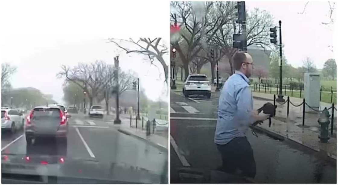 Nice video captures man giving an umbrella to the stranger sitting on a wheelchair under the rain. Nice video captures man giving an umbrella to the stranger sitting on a wheelchair under the rain.