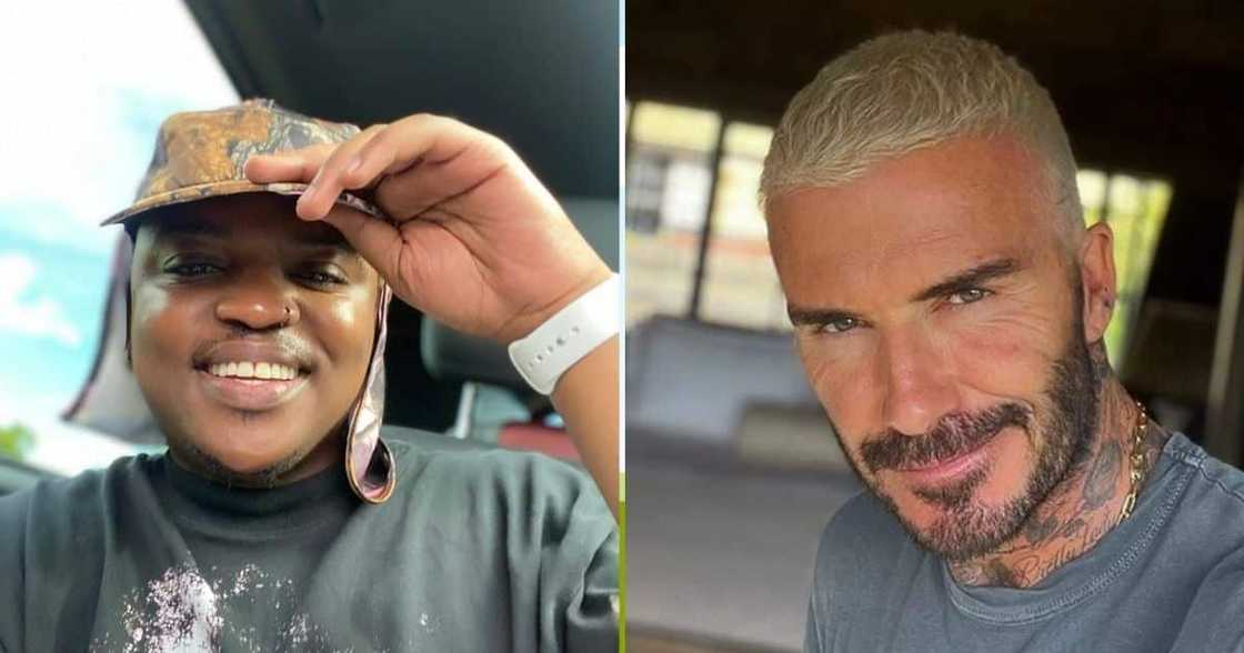 Focalistic, David Beckham, Leonardo DiCaprio, world superstars, ambassadors, Wild Aid Focalistic, David Beckham, Leonardo DiCaprio, world superstars, ambassadors, Wild Aid