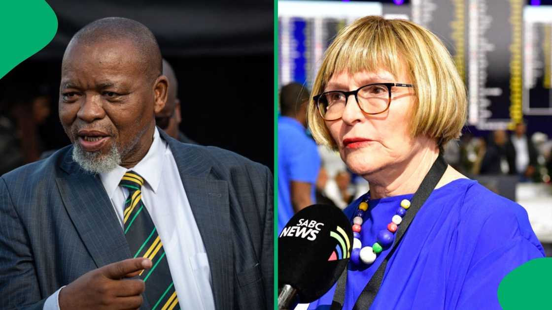 Gwede Mantashe slammed Helen Zille for saying the Government of National Unity relies on the Democratic Alliance