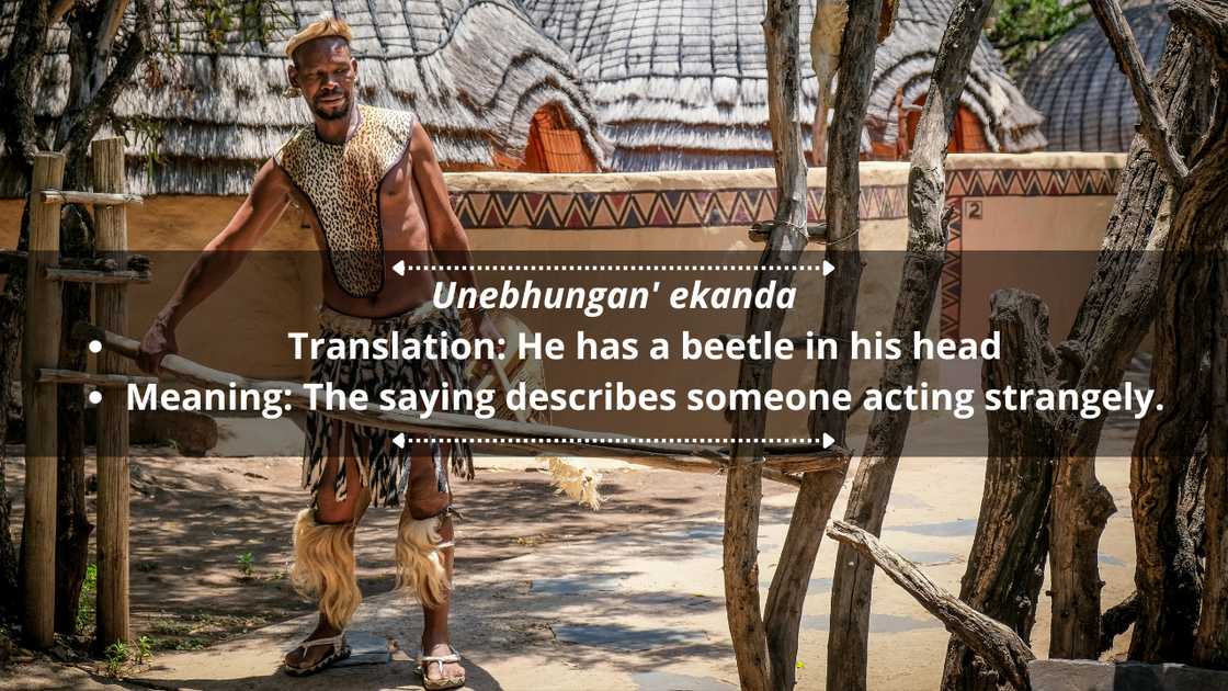 Zulu proverbs and quotes