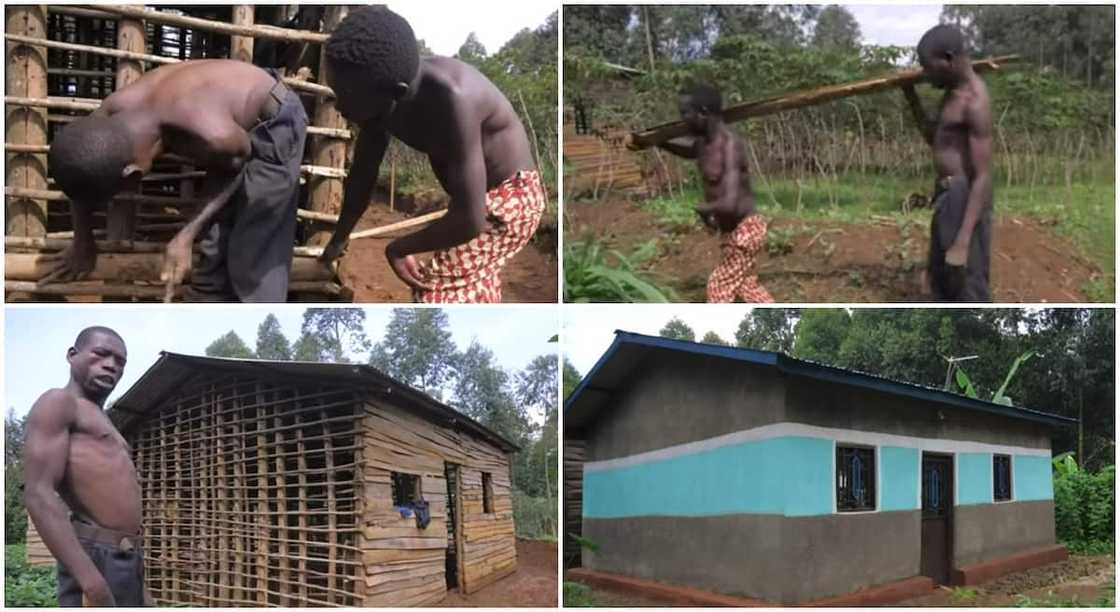 Two disabled brothers complete work on their house with the help of an NGO. Two disabled brothers complete work on their house with the help of an NGO.