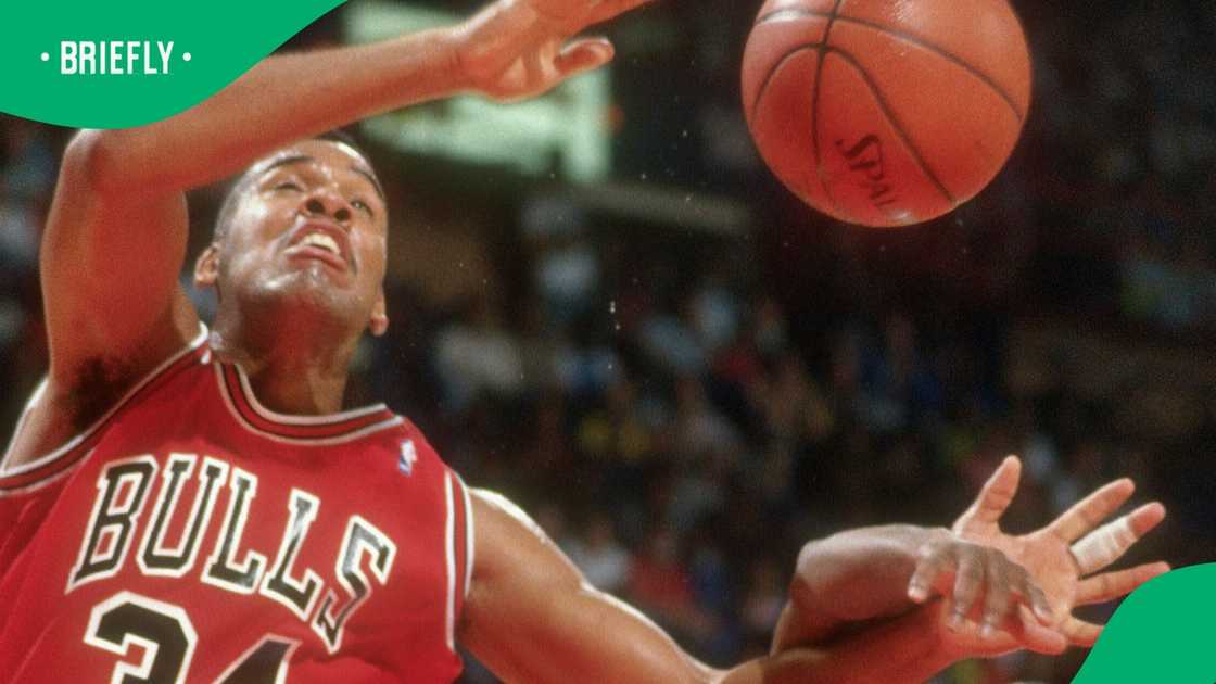 Stacey King, Chicago Bulls, NBA