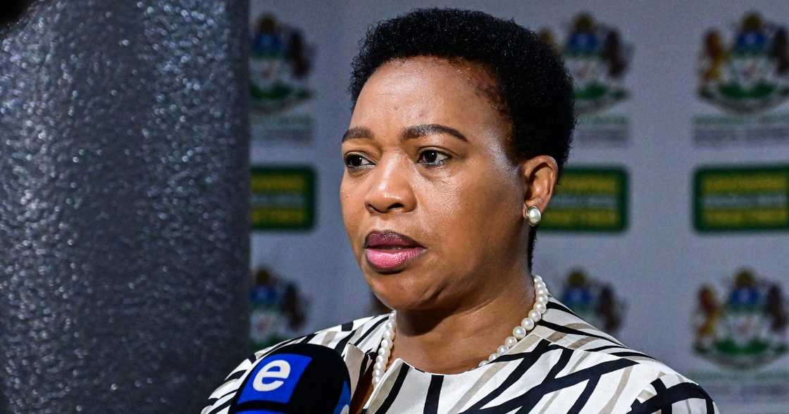 KZN premier Nomusa Dube-Ncube