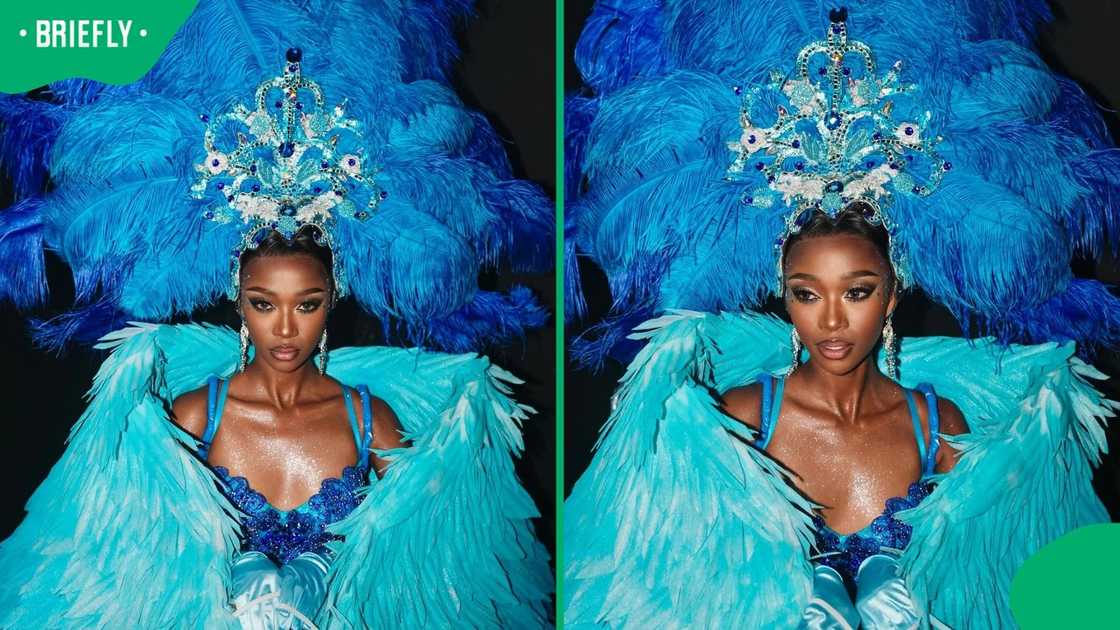 Miss Grand South Africa in her national costume. Miss Grand South Africa in her national costume.