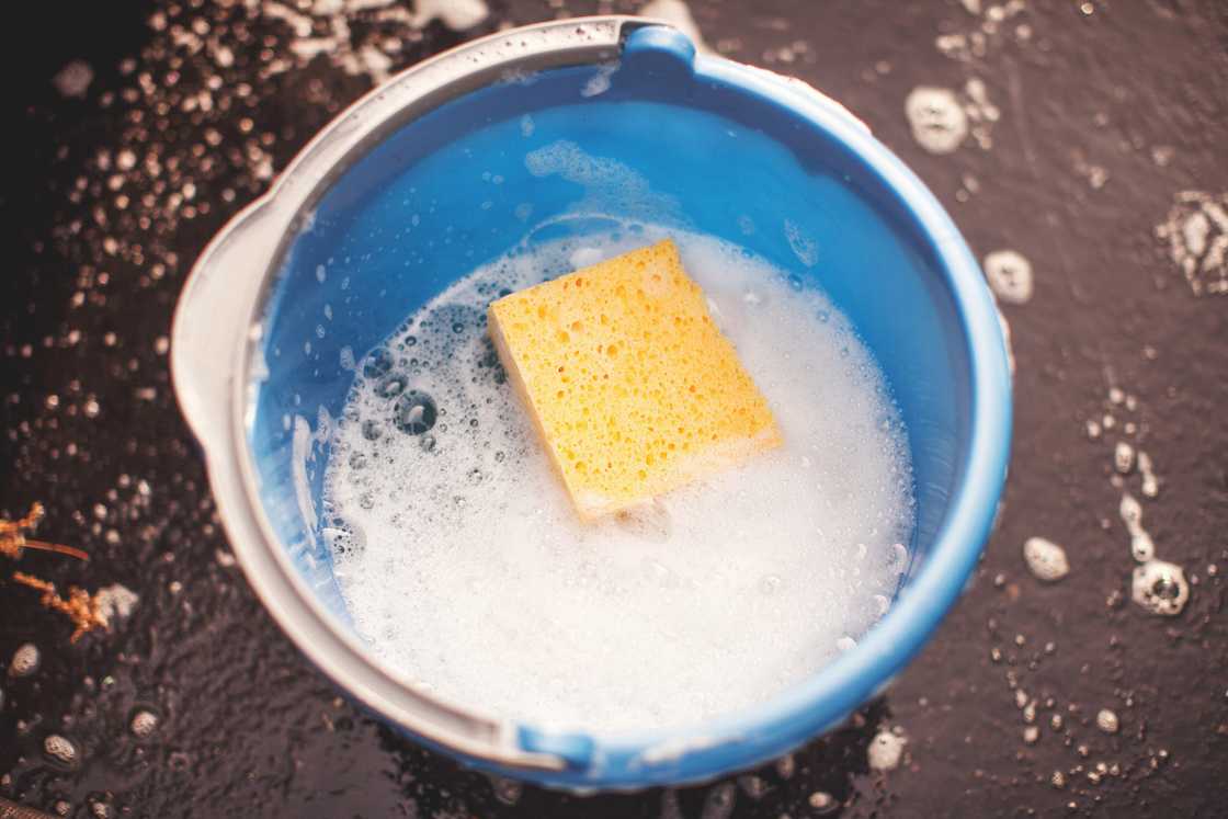 A bucket of soapy water