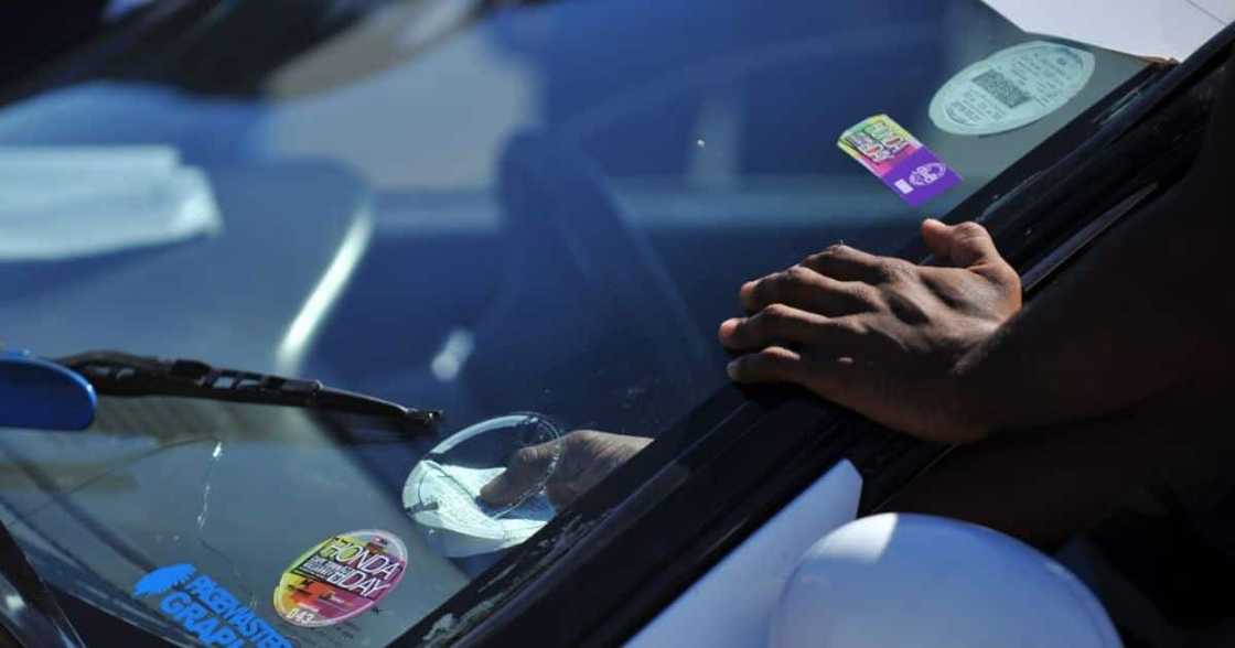 Pick 'n Pay, vehicle licence disk, vehicle licence renewal, online application, traffic department Pick 'n Pay, vehicle licence disk, vehicle licence renewal, online application, traffic department