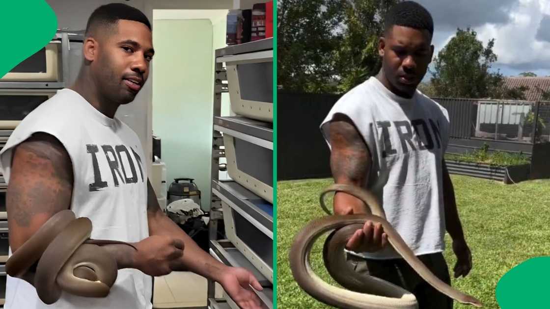 Man allows snake to bite him in video