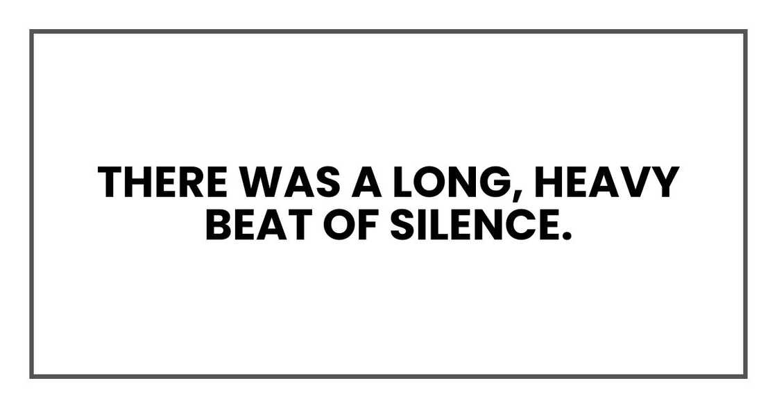 There was a long, heavy beat of silence.