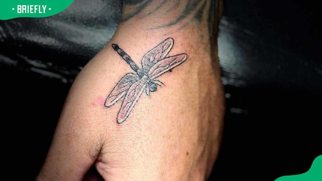 Dragonfly hand tattoo Dragonfly hand tattoo