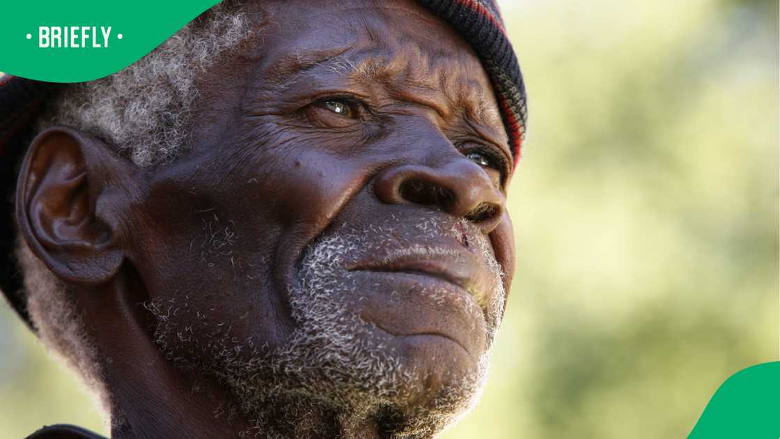 SASSA report shows 34,000 foreign nationals on old age grant, Gauteng leads