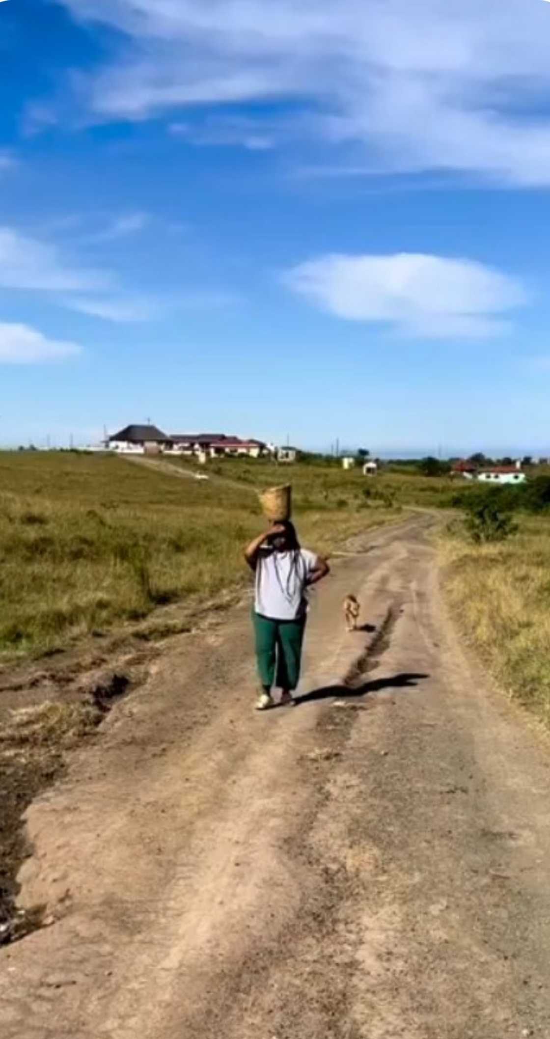 Onezwa Mbola forages and grows food she cooks with