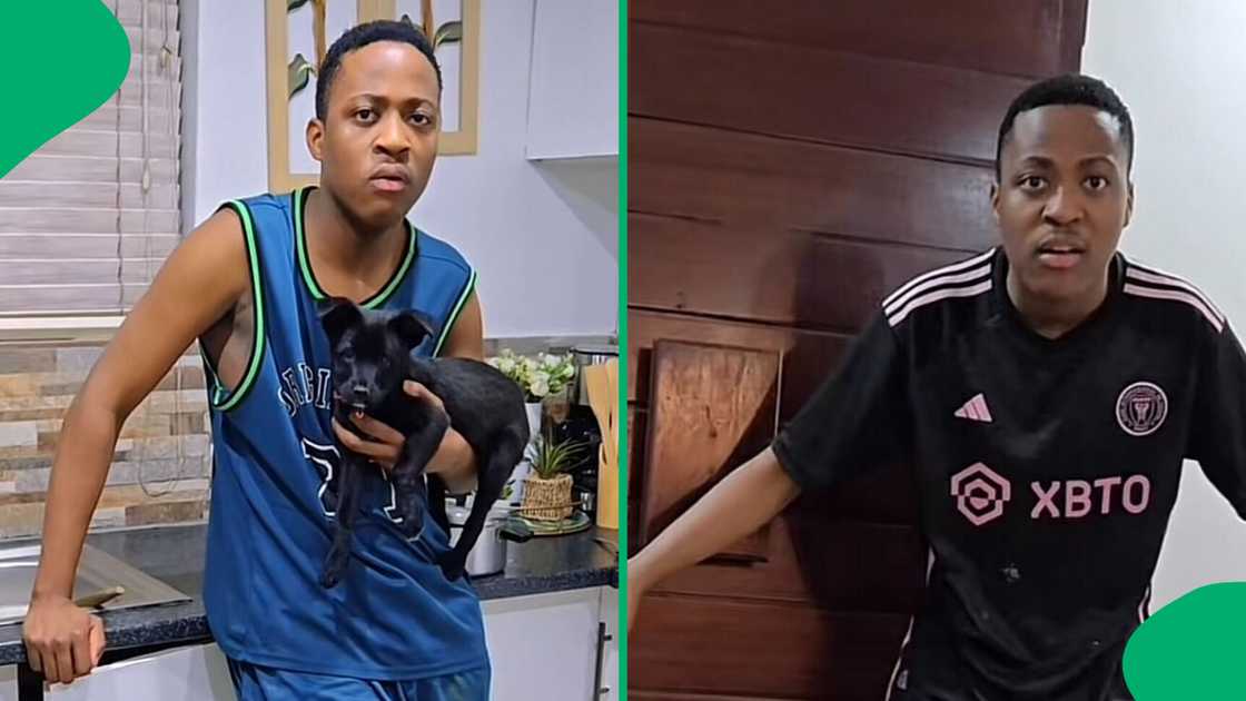A TikTok video shows a dog eating its owner’s food. A TikTok video shows a dog eating its owner’s food.